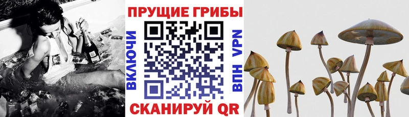 Галлюциногенные грибы MAGIC MUSHROOMS  Мышкин 